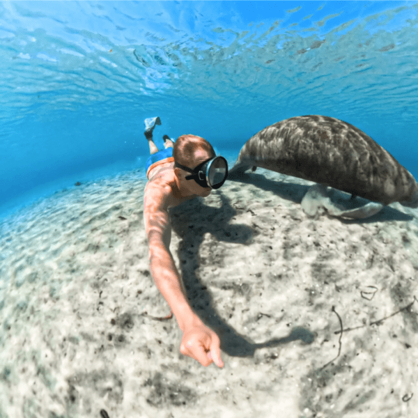 Insta360 X5 Invisible Dive Case - Image 5